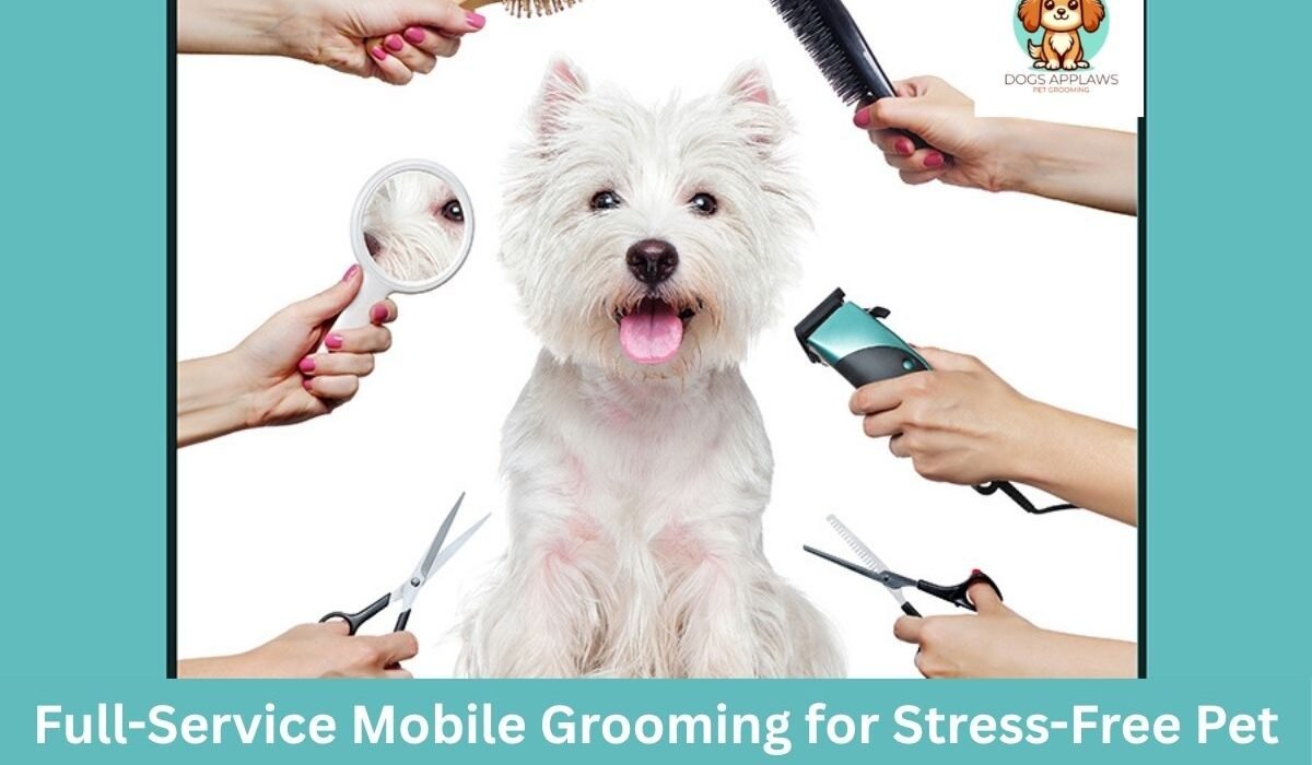 DogGrooming