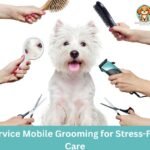 DogGrooming