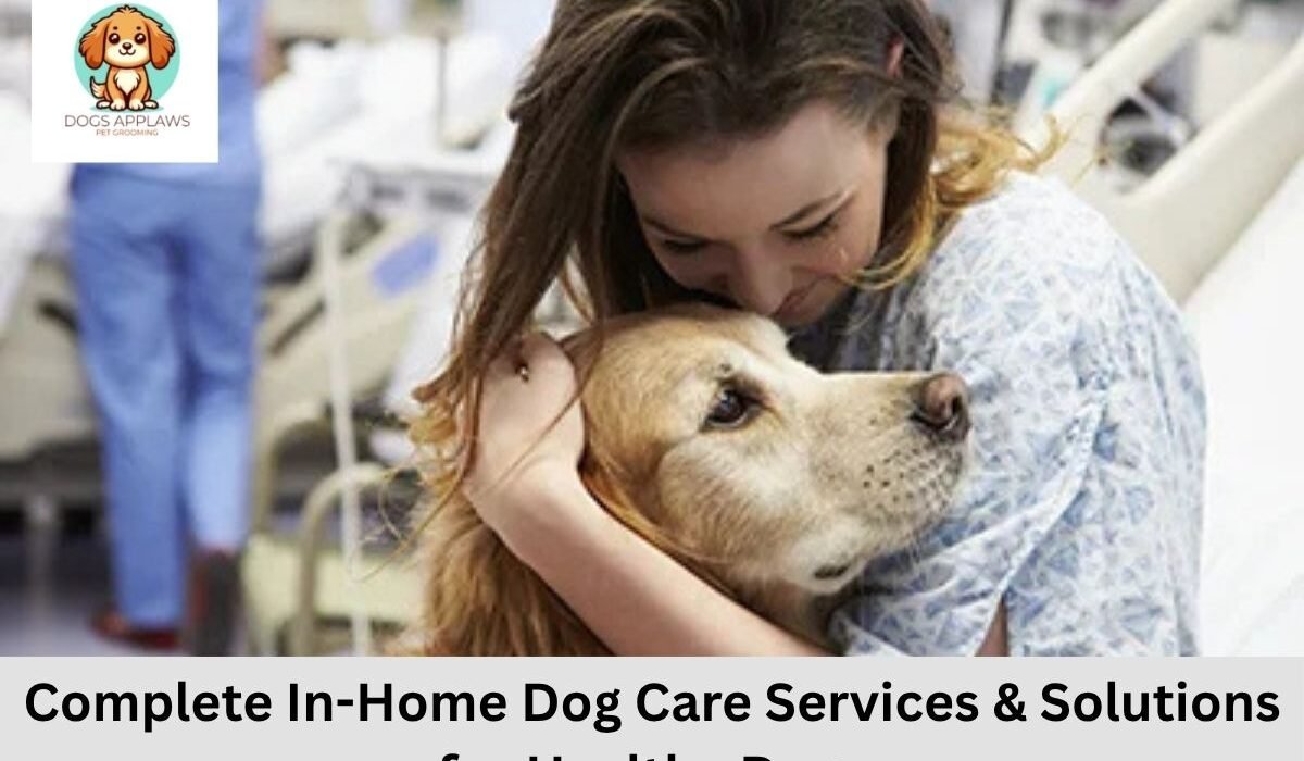 Dog Care Services