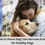 Dog Care Services