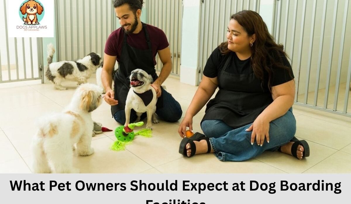 Dog Boarding Facilities