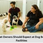 Dog Boarding Facilities