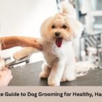Dog Grooming