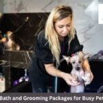 Express Bath and Grooming Packages for Busy Pet Owners