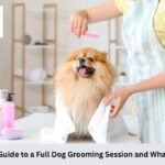 Full Dog Grooming