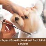 What to Expect From Professional Bath & Full Groom Services