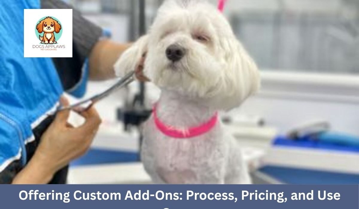 Offering Custom Add-Ons: Process, Pricing, and Use Cases