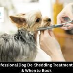 What Professional Dog De-Shedding Treatment Includes & When to Book