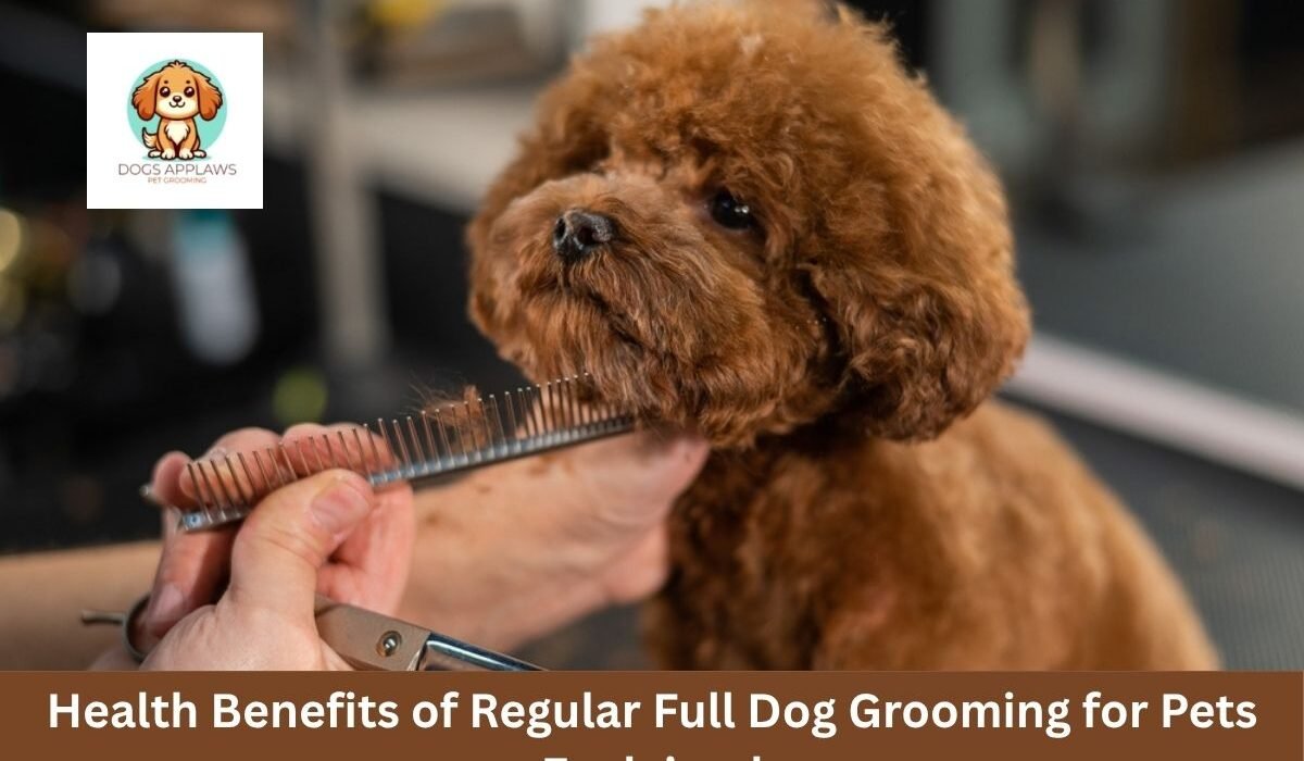 Health Benefits of Regular Full Dog Grooming for Pets Explained