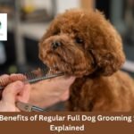 Health Benefits of Regular Full Dog Grooming for Pets Explained
