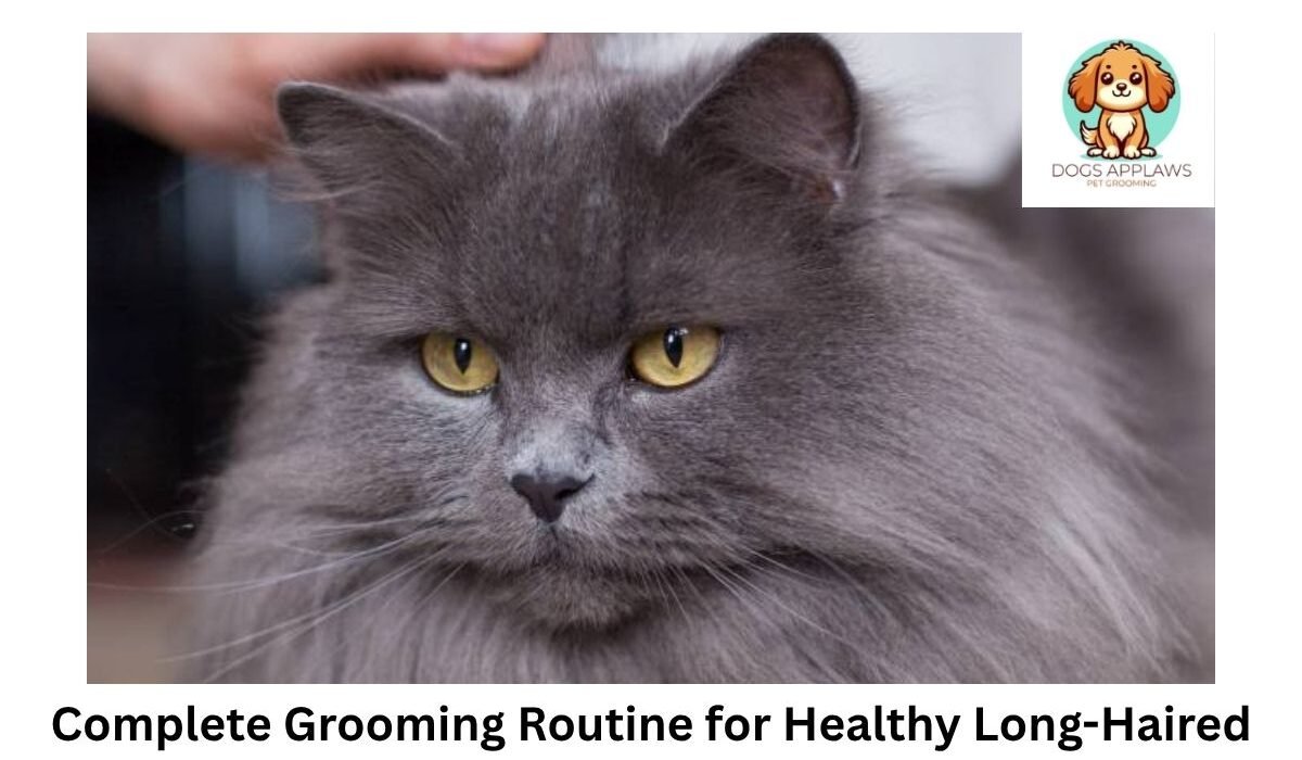 grooming
