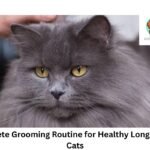 grooming
