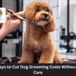 dog grooming