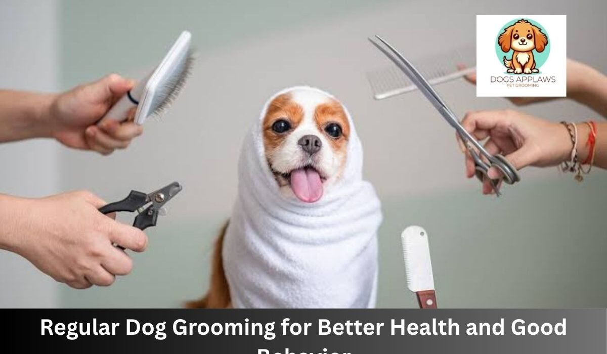 Dog Grooming
