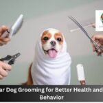Dog Grooming